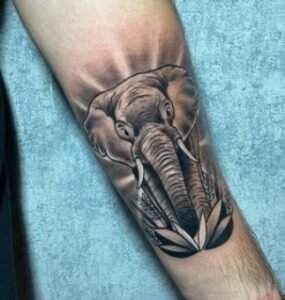 tatuaje elefante Colombia